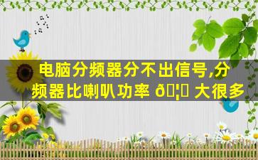 电脑分频器分不出信号,分频器比喇叭功率 🦆 大很多